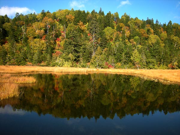 風の無い日は鏡のように水面が周囲の紅葉を映す。