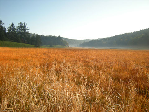 尾瀬の初秋は草紅葉で湿原が赤く染まります。