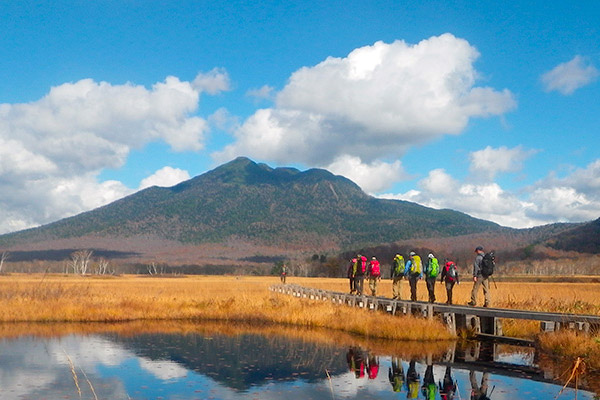 &copy;尾瀬保護財団