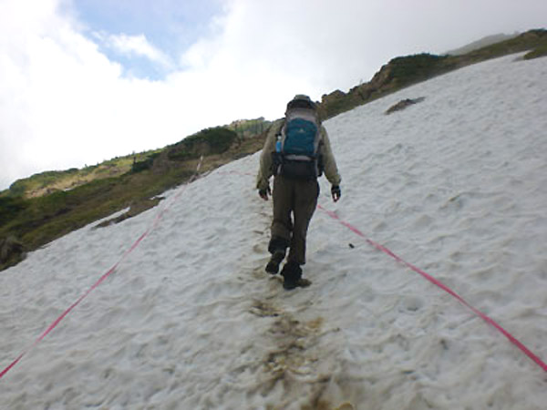 東面登山道至仏山頂直下の雪渓のようす©尾瀬保護財団